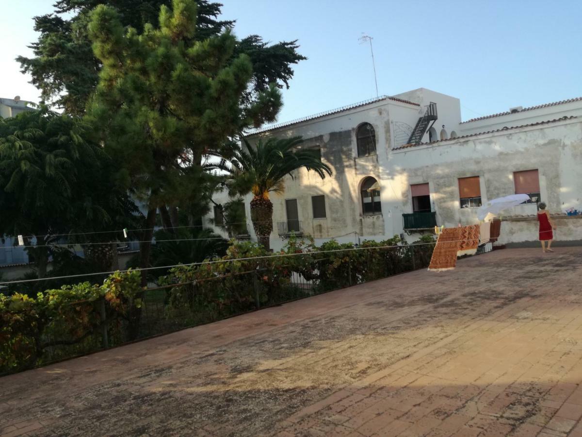 Zia Amalia Villa Asfodelo アルゲーロ エクステリア 写真