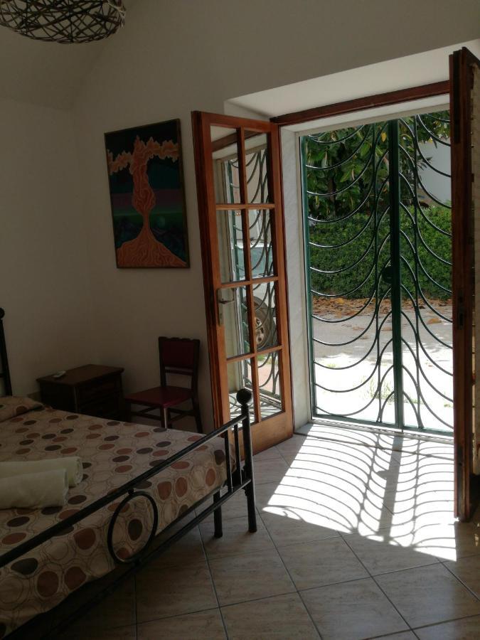 Zia Amalia Villa Asfodelo アルゲーロ エクステリア 写真